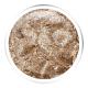 Prestige line - FlaLux III